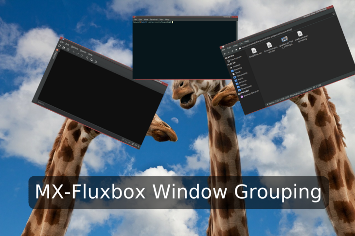 MXFB Window Grouping Header